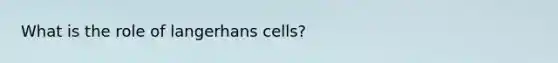 What is the role of langerhans cells?