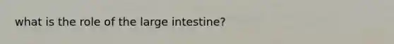 what is the role of the large intestine?