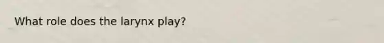 What role does the larynx play?