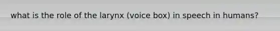 what is the role of the larynx (voice box) in speech in humans?