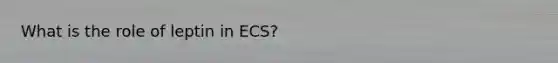 What is the role of leptin in ECS?