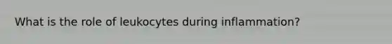 What is the role of leukocytes during inflammation?