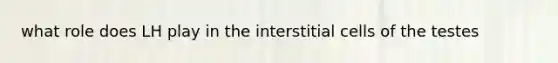 what role does LH play in the interstitial cells of the testes