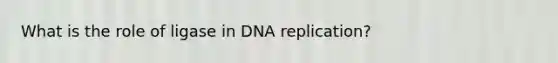 What is the role of ligase in DNA replication?