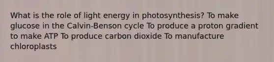 What is the role of light energy in photosynthesis? To make glucose in the Calvin-Benson cycle To produce a proton gradient to make ATP To produce carbon dioxide To manufacture chloroplasts