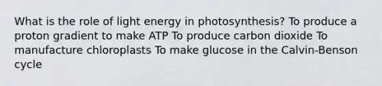 What is the role of light energy in photosynthesis? To produce a proton gradient to make ATP To produce carbon dioxide To manufacture chloroplasts To make glucose in the Calvin-Benson cycle