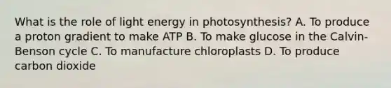 What is the role of light energy in photosynthesis? A. To produce a proton gradient to make ATP B. To make glucose in the Calvin-Benson cycle C. To manufacture chloroplasts D. To produce carbon dioxide