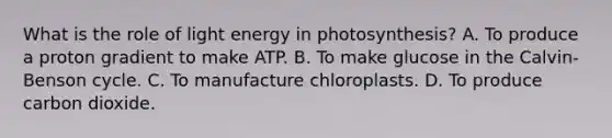 What is the role of light energy in photosynthesis? A. To produce a proton gradient to make ATP. B. To make glucose in the Calvin-Benson cycle. C. To manufacture chloroplasts. D. To produce carbon dioxide.