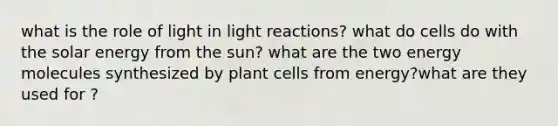 what is the role of light in light reactions? what do cells do with the solar energy from the sun? what are the two energy molecules synthesized by plant cells from energy?what are they used for ?