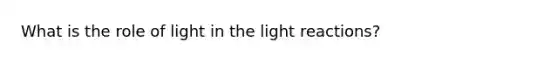 What is the role of light in the light reactions?