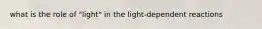 what is the role of "light" in the light-dependent reactions