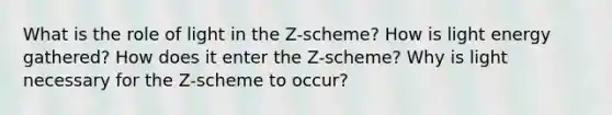 What is the role of light in the Z-scheme? How is light energy gathered? How does it enter the Z-scheme? Why is light necessary for the Z-scheme to occur?