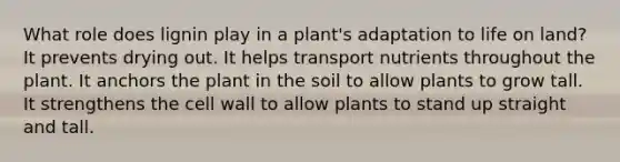 What role does lignin play in a plant's adaptation to life on land? It prevents drying out. It helps transport nutrients throughout the plant. It anchors the plant in the soil to allow plants to grow tall. It strengthens the cell wall to allow plants to stand up straight and tall.