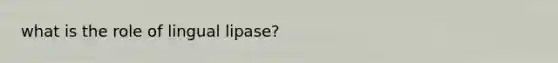 what is the role of lingual lipase?