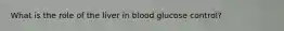 What is the role of the liver in blood glucose control?