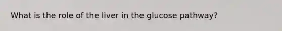 What is the role of the liver in the glucose pathway?