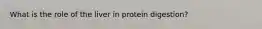 What is the role of the liver in protein digestion?
