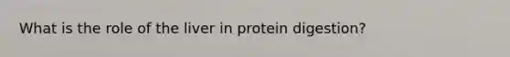 What is the role of the liver in protein digestion?