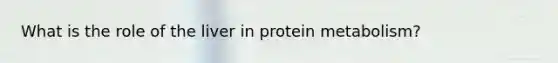 What is the role of the liver in protein metabolism?