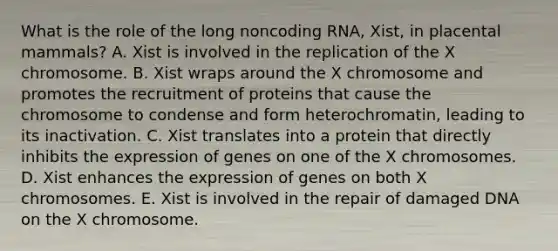 What is the role of the long noncoding RNA, Xist, in placental mammals? A. Xist is involved in the replication of the X chromosome. B. Xist wraps around the X chromosome and promotes the recruitment of proteins that cause the chromosome to condense and form heterochromatin, leading to its inactivation. C. Xist translates into a protein that directly inhibits the expression of genes on one of the X chromosomes. D. Xist enhances the expression of genes on both X chromosomes. E. Xist is involved in the repair of damaged DNA on the X chromosome.