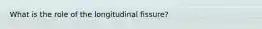 What is the role of the longitudinal fissure?