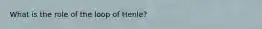 What is the role of the loop of Henle?