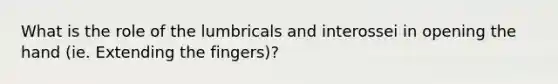 What is the role of the lumbricals and interossei in opening the hand (ie. Extending the fingers)?