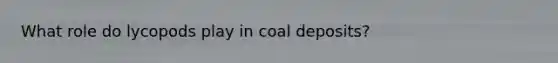 What role do lycopods play in coal deposits?