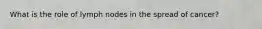 What is the role of lymph nodes in the spread of cancer?
