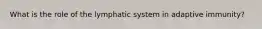 What is the role of the lymphatic system in adaptive immunity?