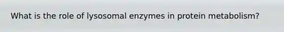 What is the role of lysosomal enzymes in protein metabolism?