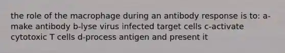 the role of the macrophage during an antibody response is to: a-make antibody b-lyse virus infected target cells c-activate cytotoxic T cells d-process antigen and present it