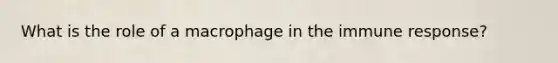 What is the role of a macrophage in the immune response?
