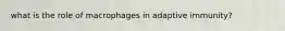 what is the role of macrophages in adaptive immunity?