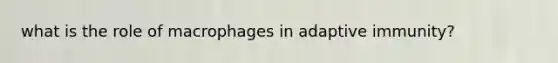 what is the role of macrophages in adaptive immunity?
