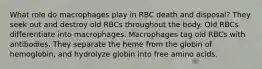 What role do macrophages play in RBC death and disposal? They seek out and destroy old RBCs throughout the body. Old RBCs differentiate into macrophages. Macrophages tag old RBCs with antibodies. They separate the heme from the globin of hemoglobin, and hydrolyze globin into free amino acids.