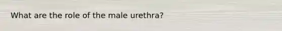 What are the role of the male urethra?