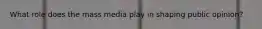 What role does the mass media play in shaping public opinion?