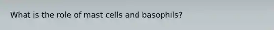 What is the role of mast cells and basophils?