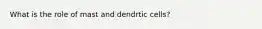 What is the role of mast and dendrtic cells?