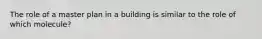 The role of a master plan in a building is similar to the role of which molecule?