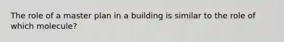 The role of a master plan in a building is similar to the role of which molecule?