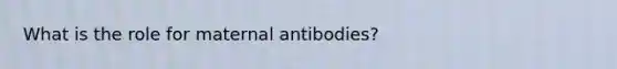 What is the role for maternal antibodies?