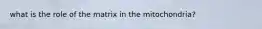 what is the role of the matrix in the mitochondria?