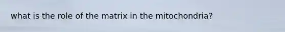 what is the role of the matrix in the mitochondria?