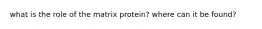 what is the role of the matrix protein? where can it be found?