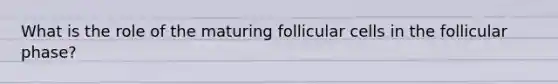 What is the role of the maturing follicular cells in the follicular phase?