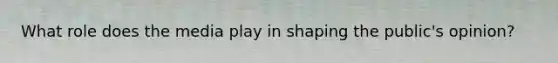 What role does the media play in shaping the public's opinion?