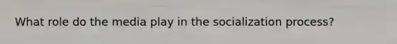 What role do the media play in the socialization process?