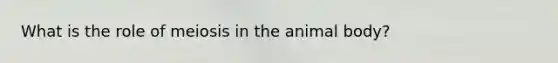 What is the role of meiosis in the animal body?